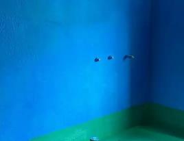 河口卫生间测漏水多少钱